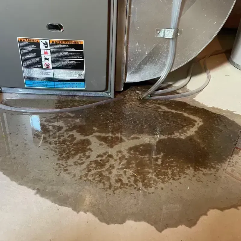 Appliance Leak Cleanup in La Mirada, CA